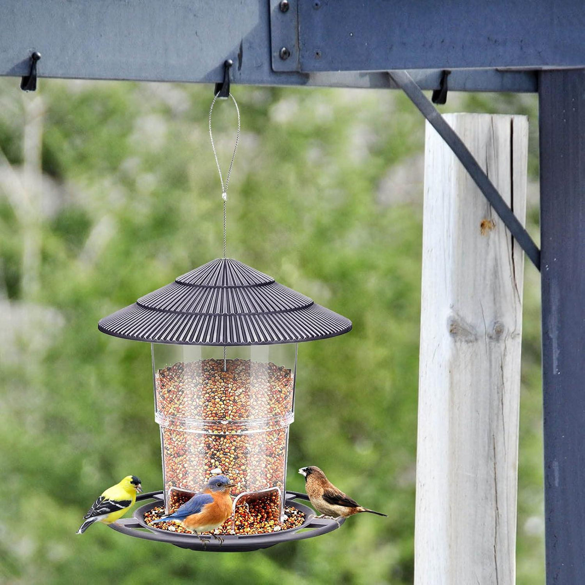 Hanging Bird Feeder Sloped Rain Cover 2.2 lb Capacity Transparent Container
