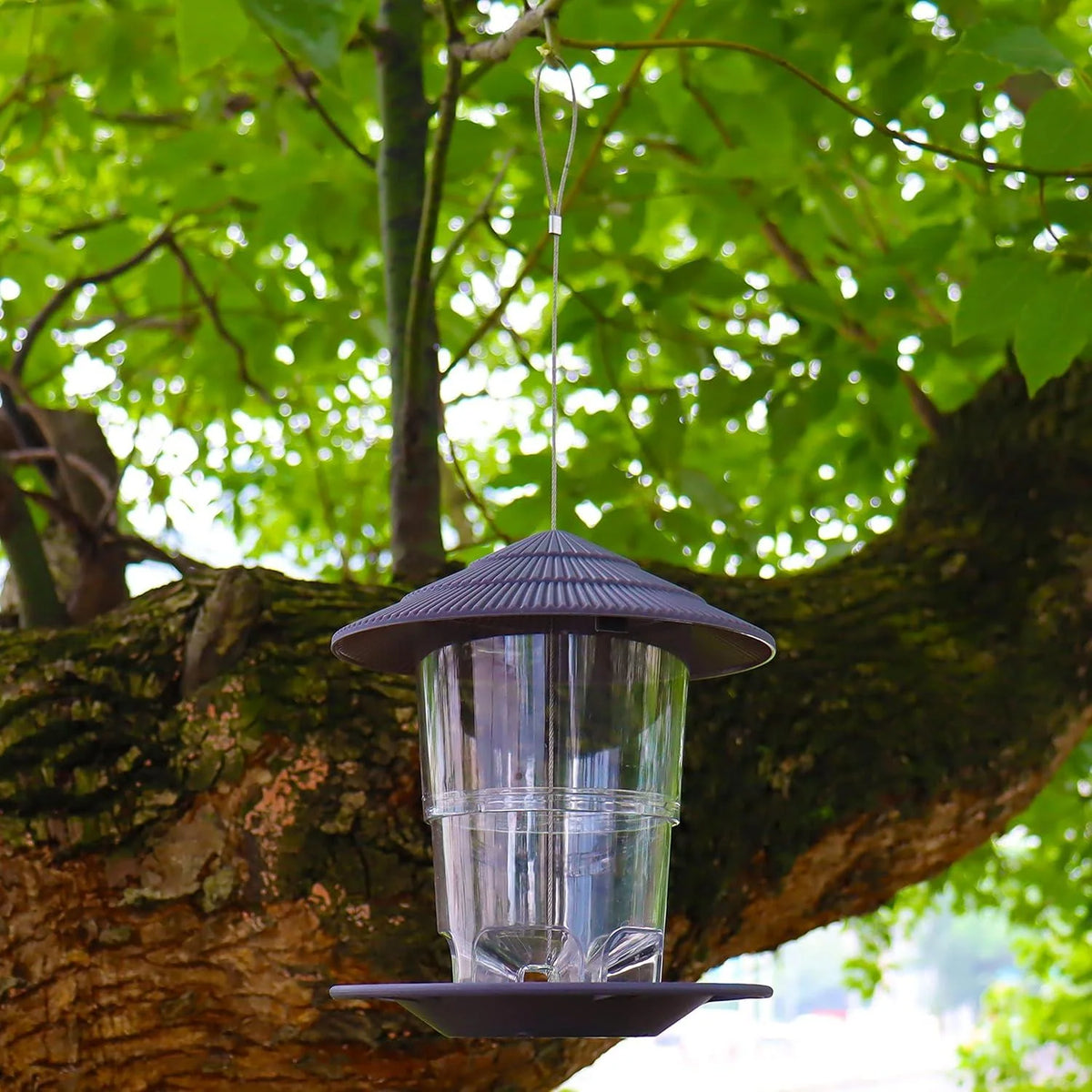 Hanging Bird Feeder Sloped Rain Cover 2.2 lb Capacity Transparent Container