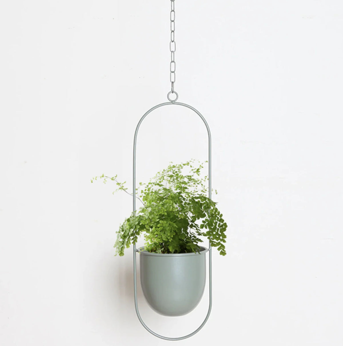 Hanging Planter Minimalist Iron Oval & Round