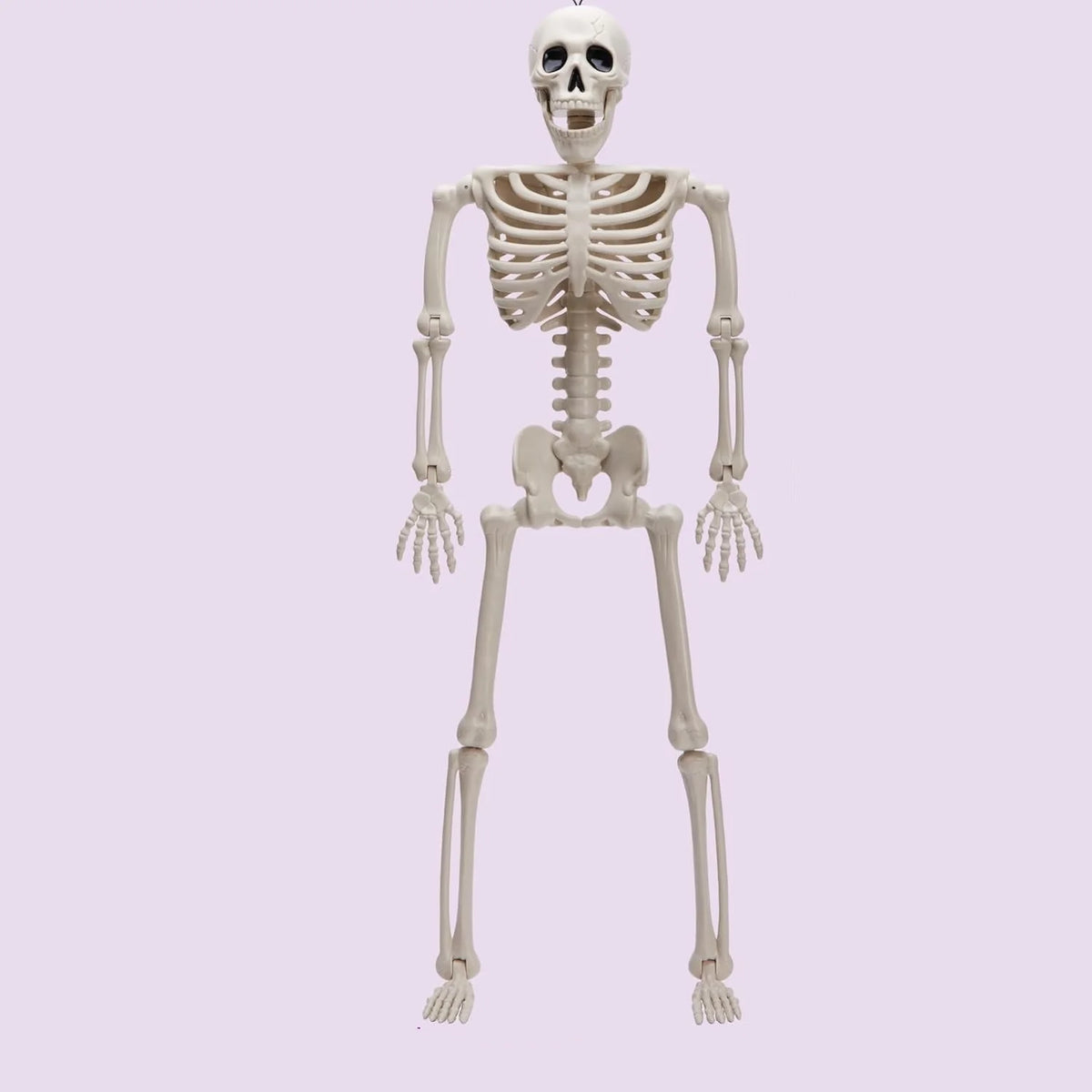 Hanging Skeleton Decoration Poseable Lightweight Reusable 90 cm
