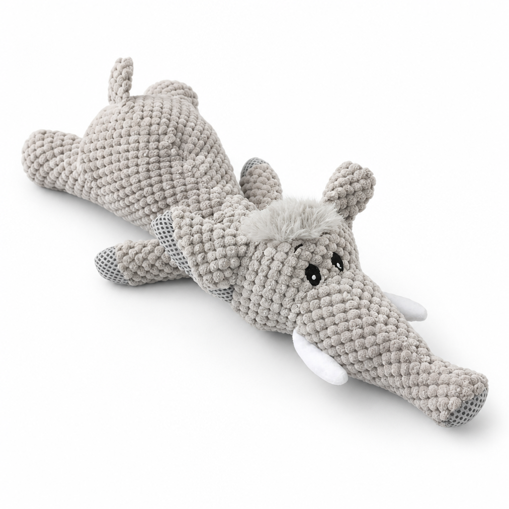 Heavy-Duty Dental-Cleaning Dog Chew Toy