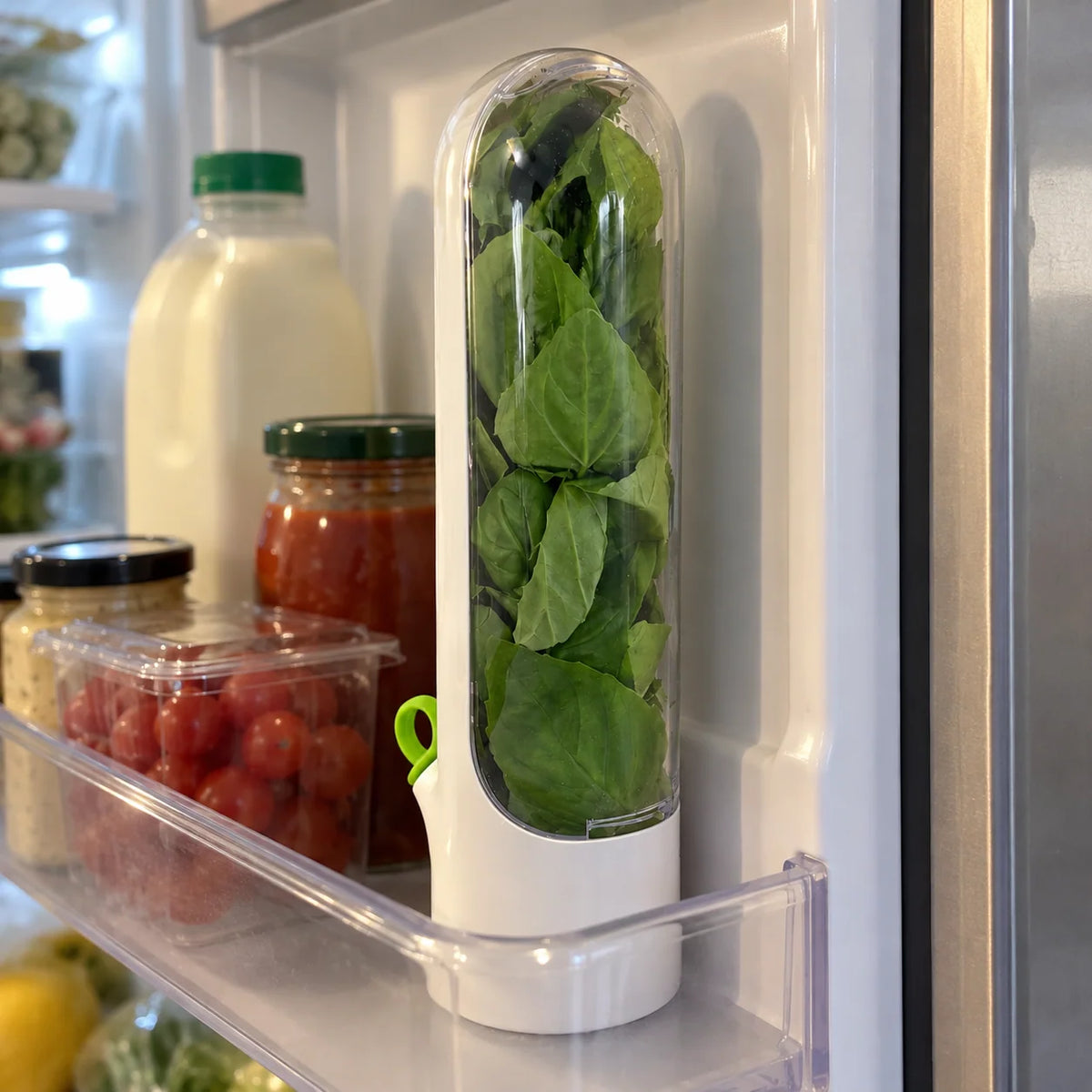 Herb Keeper Fresh Herb Storage Organizer