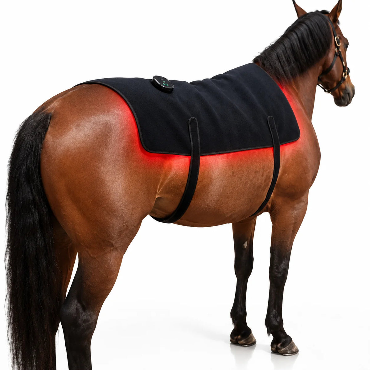 Horse Back Wrap Red Light Therapy Adjustable Rechargeable Cordless