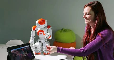 Humanoid Robot 25-Axis Motion Multilingual Voice Interaction Dual HD Cameras