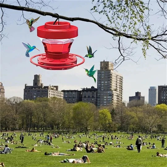 Hummingbird Feeder Bee-Proof Ports & Ant Moat 16 Oz