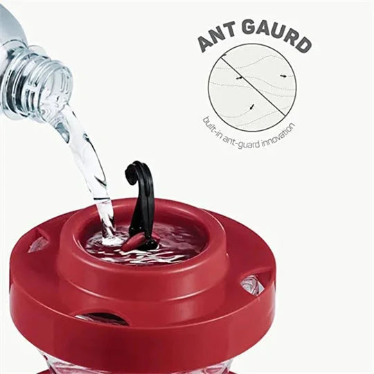 Hummingbird Feeder Bee-Proof Ports & Ant Moat 16 Oz