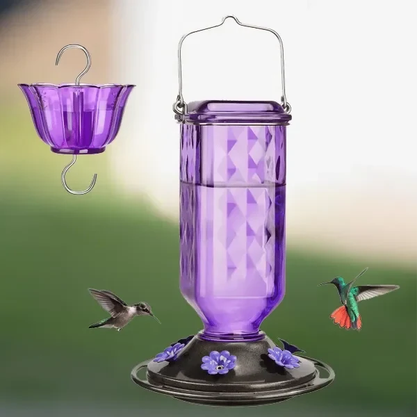 Hummingbird Feeder Clear Glass Ant Moat 24 Oz Capacity