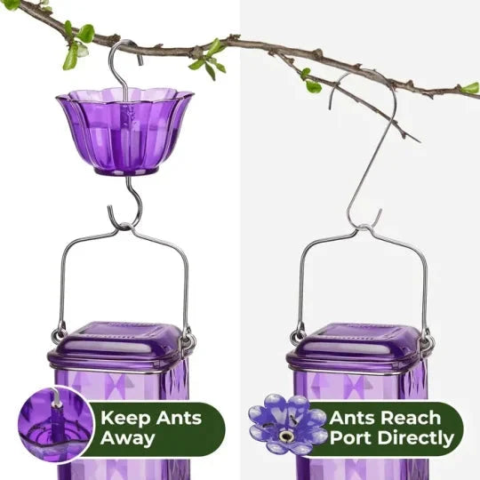 Hummingbird Feeder Clear Glass Ant Moat 24 Oz Capacity