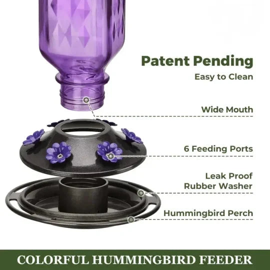 Hummingbird Feeder Clear Glass Ant Moat 24 Oz Capacity