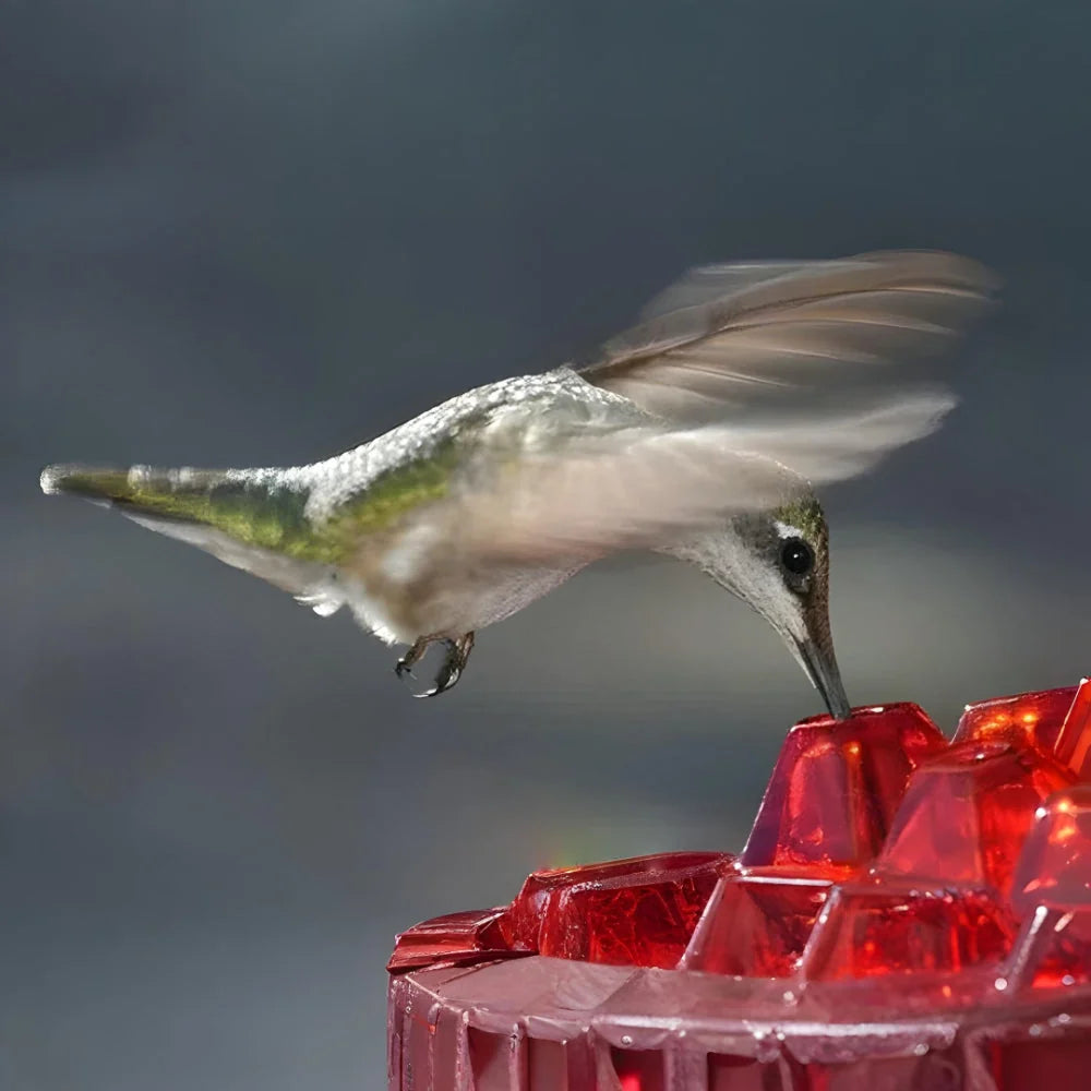 Hummingbird Feeder Multi-Port Clear Reservoir & Easy-Clean