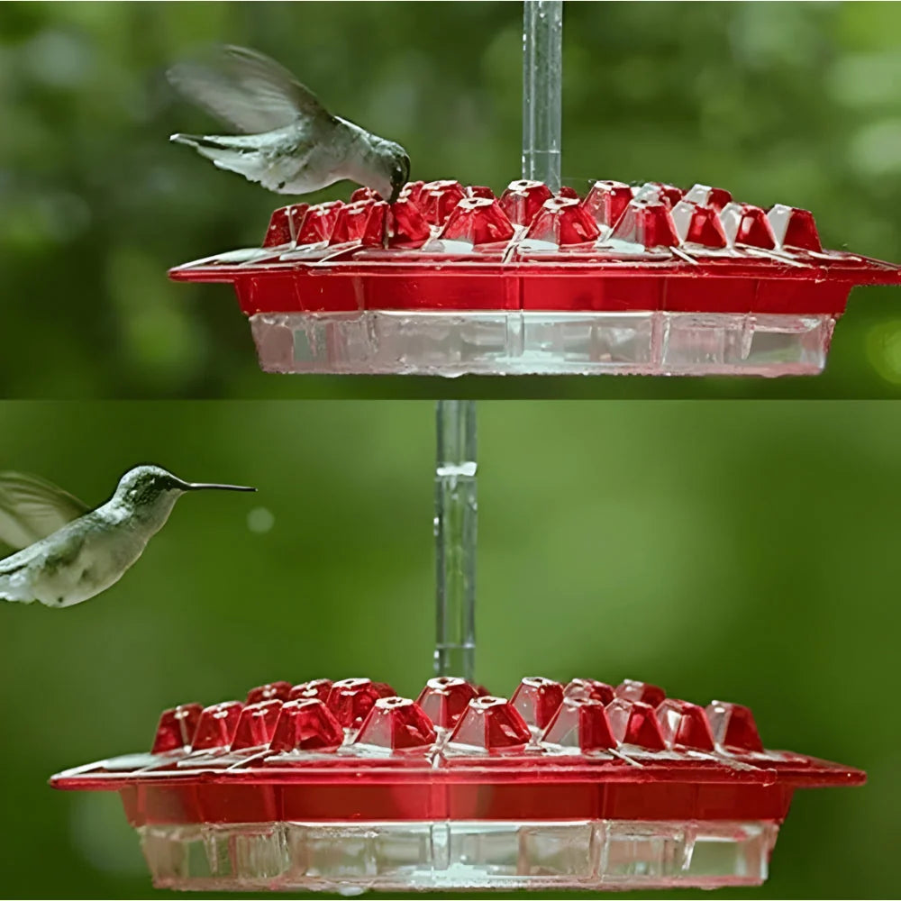 Hummingbird Feeder Multi-Port Clear Reservoir & Easy-Clean