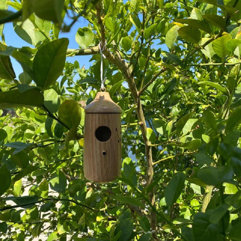 Hummingbird House Weather-Resistant Resin Wood Grain Finish