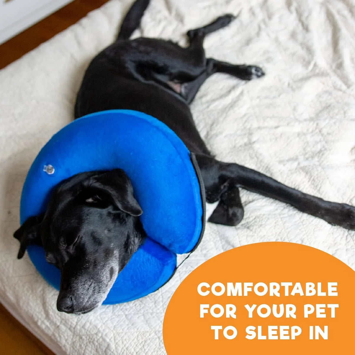 Inflatable Collar Inner Loop & Adjustable Air Valve