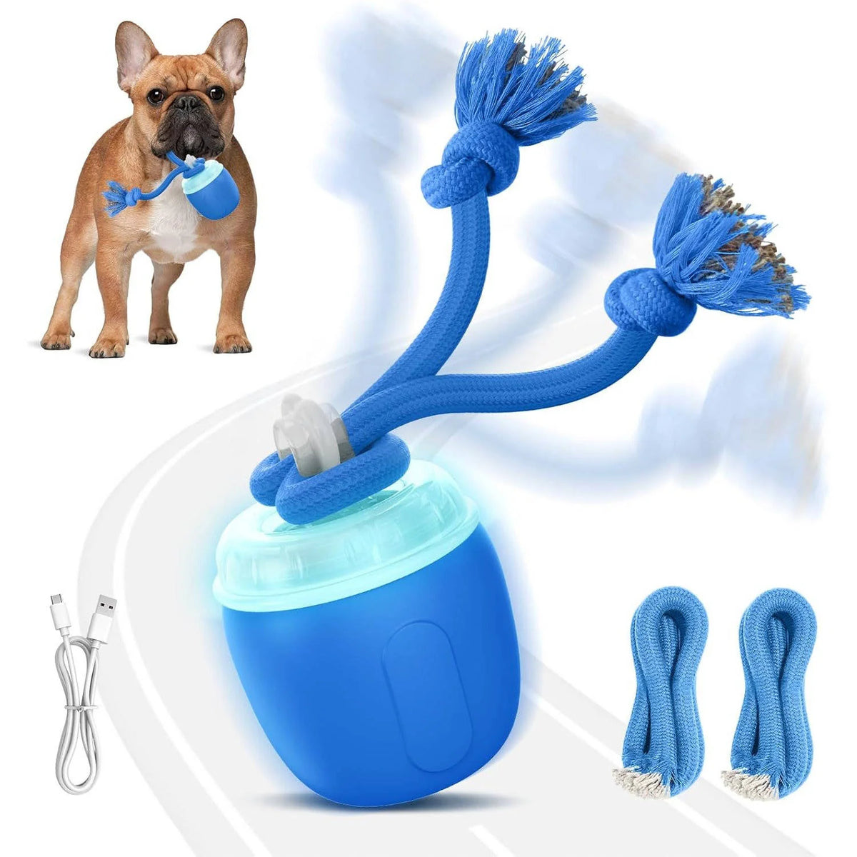 Interactive Dog Ball Motion-Activated USB Rechargeable 3 Play Modes