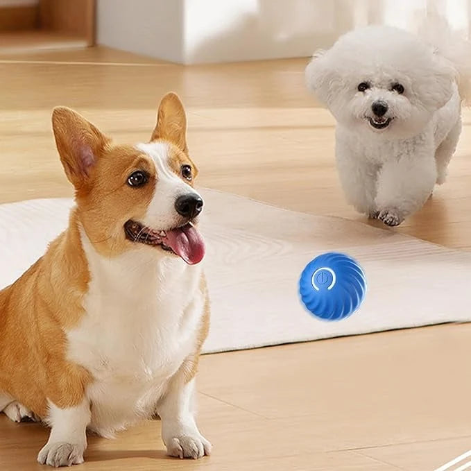 Interactive Dog Toy Rechargeable Unpredictable Motion & Obstacle Sensing