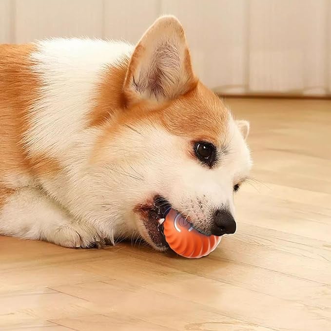 Interactive Dog Toy Rechargeable Unpredictable Motion & Obstacle Sensing