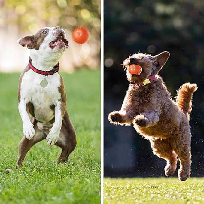 Interactive Dog Toy Rechargeable Unpredictable Motion & Obstacle Sensing