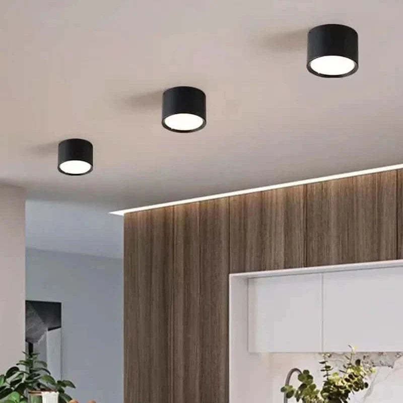 LED Ceiling Light Modern Design Selectable Color Temperature