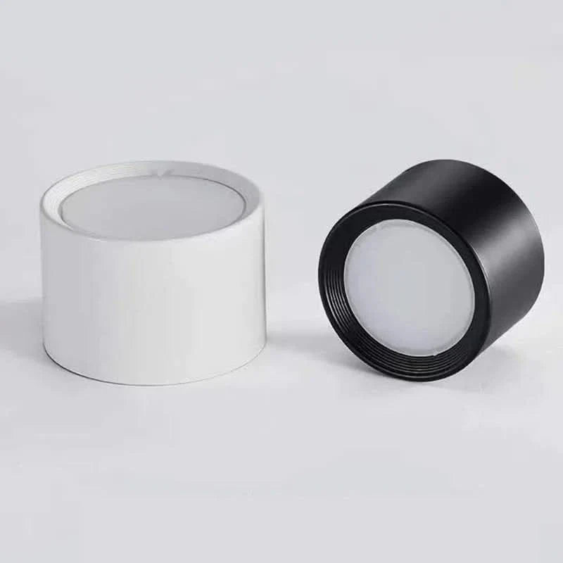 LED Ceiling Light Modern Design Selectable Color Temperature