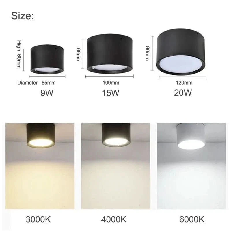 LED Ceiling Light Modern Design Selectable Color Temperature