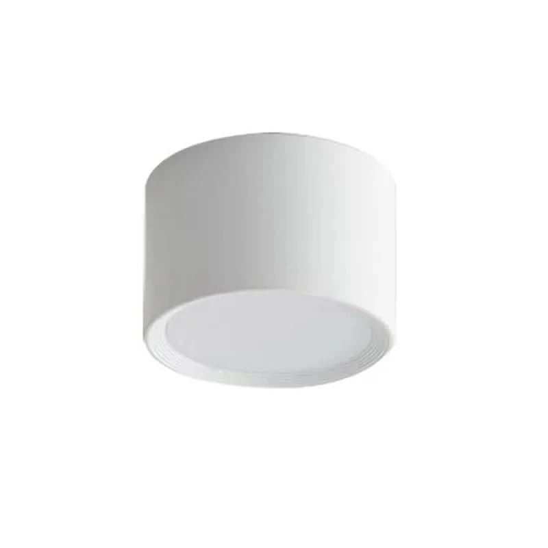 LED Ceiling Light Modern Design Selectable Color Temperature
