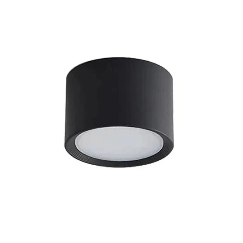 LED Ceiling Light Modern Design Selectable Color Temperature