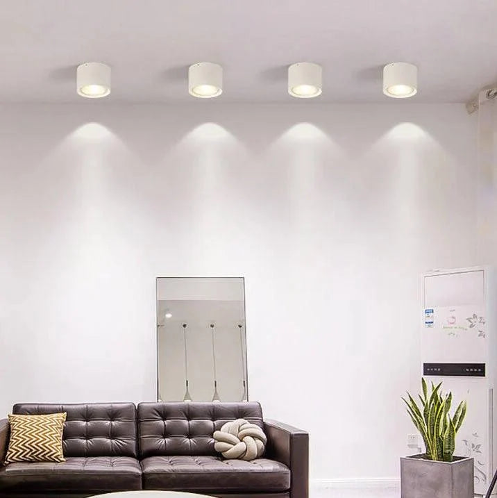 LED Ceiling Spotlight Adjustable Rotating Head Flush Mount