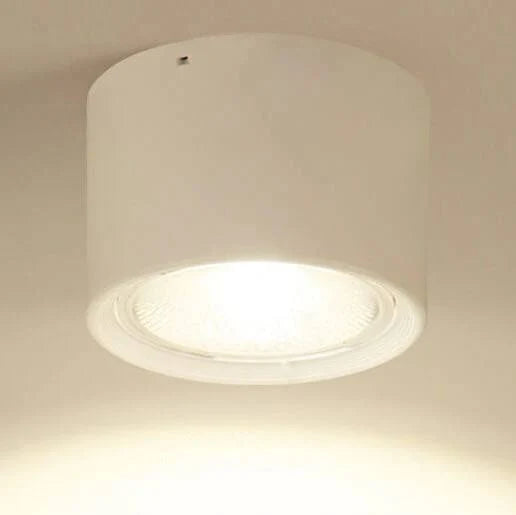 LED Ceiling Spotlight Adjustable Rotating Head Flush Mount