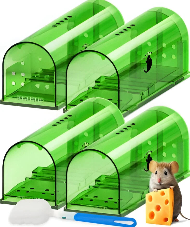 Live-Catch Mouse Trap Reusable Poison-Free Set of 4