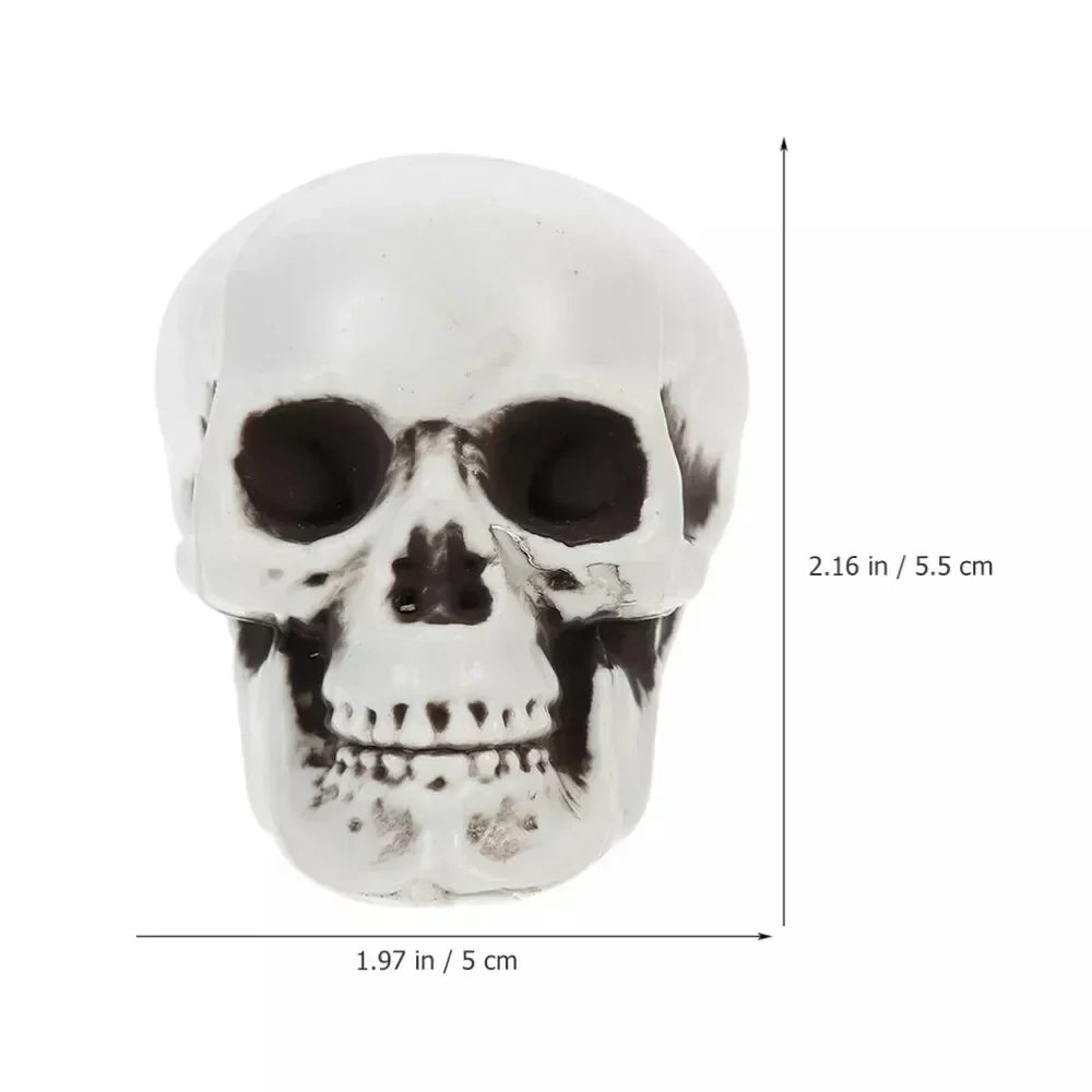 Mini Skull Decorations White Finish Set of 10