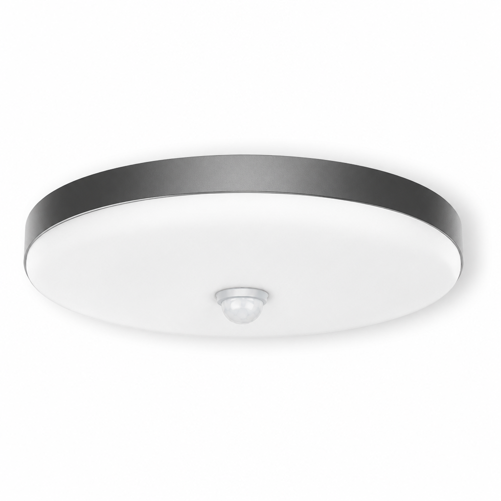 Motion-Activated LED Ceiling Light (Adjustable Color Temperature)