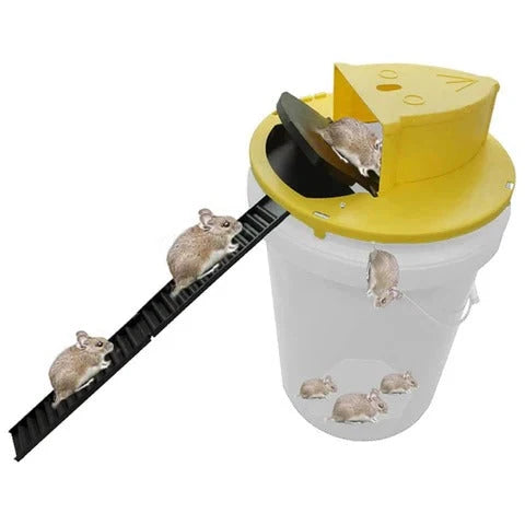 Mouse Trap Multi-Catch Automatic Reset Fits 5-Gallon Bucket