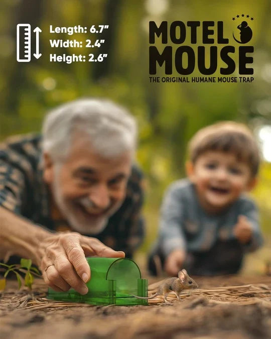 Mouse Trap Set Enclosed Live-Capture No-Touch Release