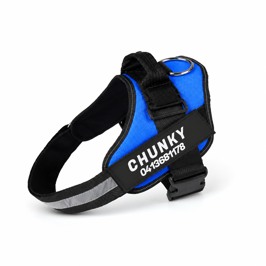 No-Pull Ergonomic Reflective Dog Harness (Personalized)