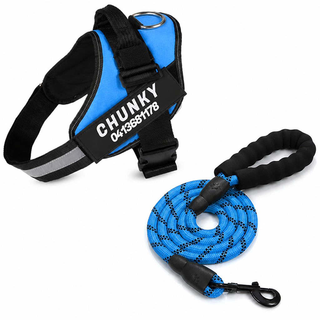 No-Pull Ergonomic Reflective Dog Harness (Personalized)