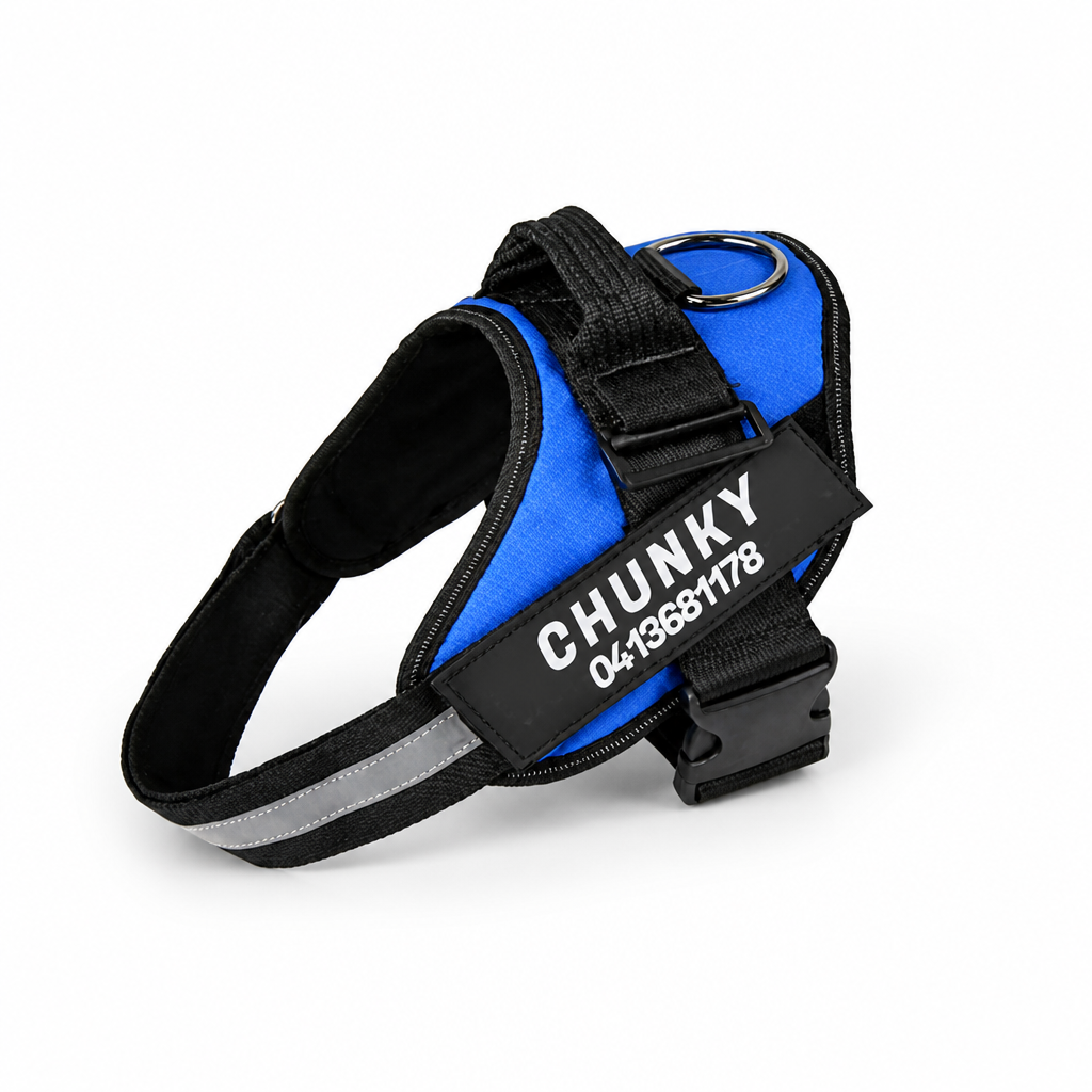 No-Pull Ergonomic Reflective Dog Harness (Personalized)
