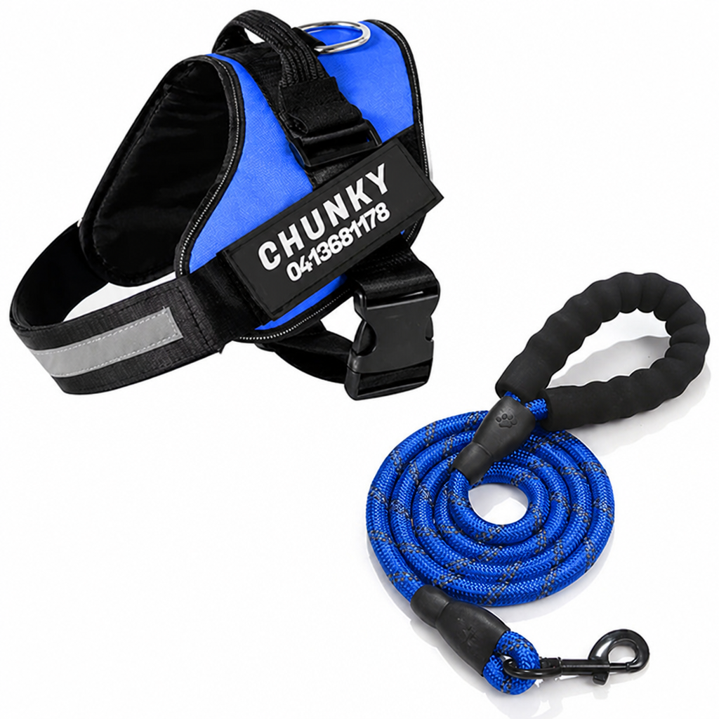 No-Pull Ergonomic Reflective Dog Harness (Personalized)