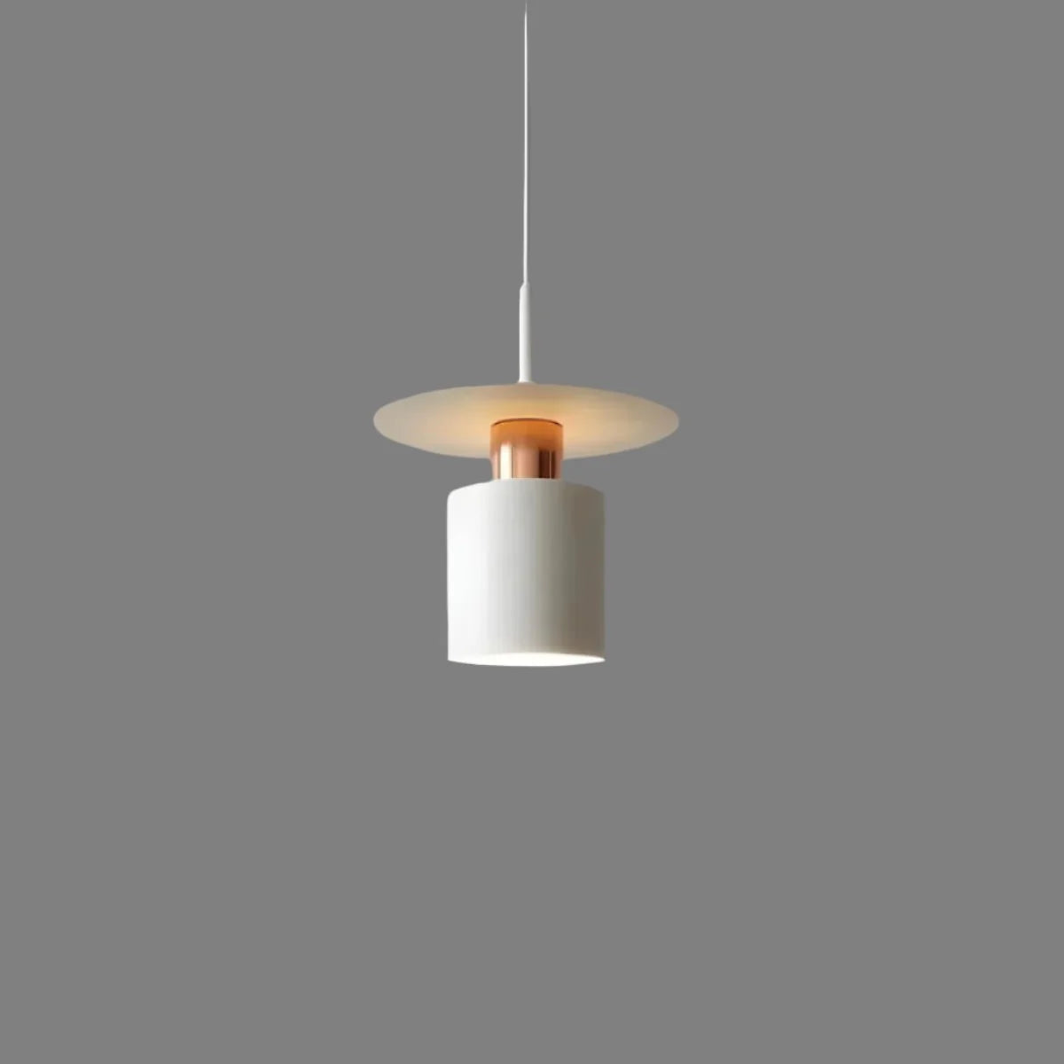 Pendant Light Integrated LED & Adjustable Cord Drop Two Sizes