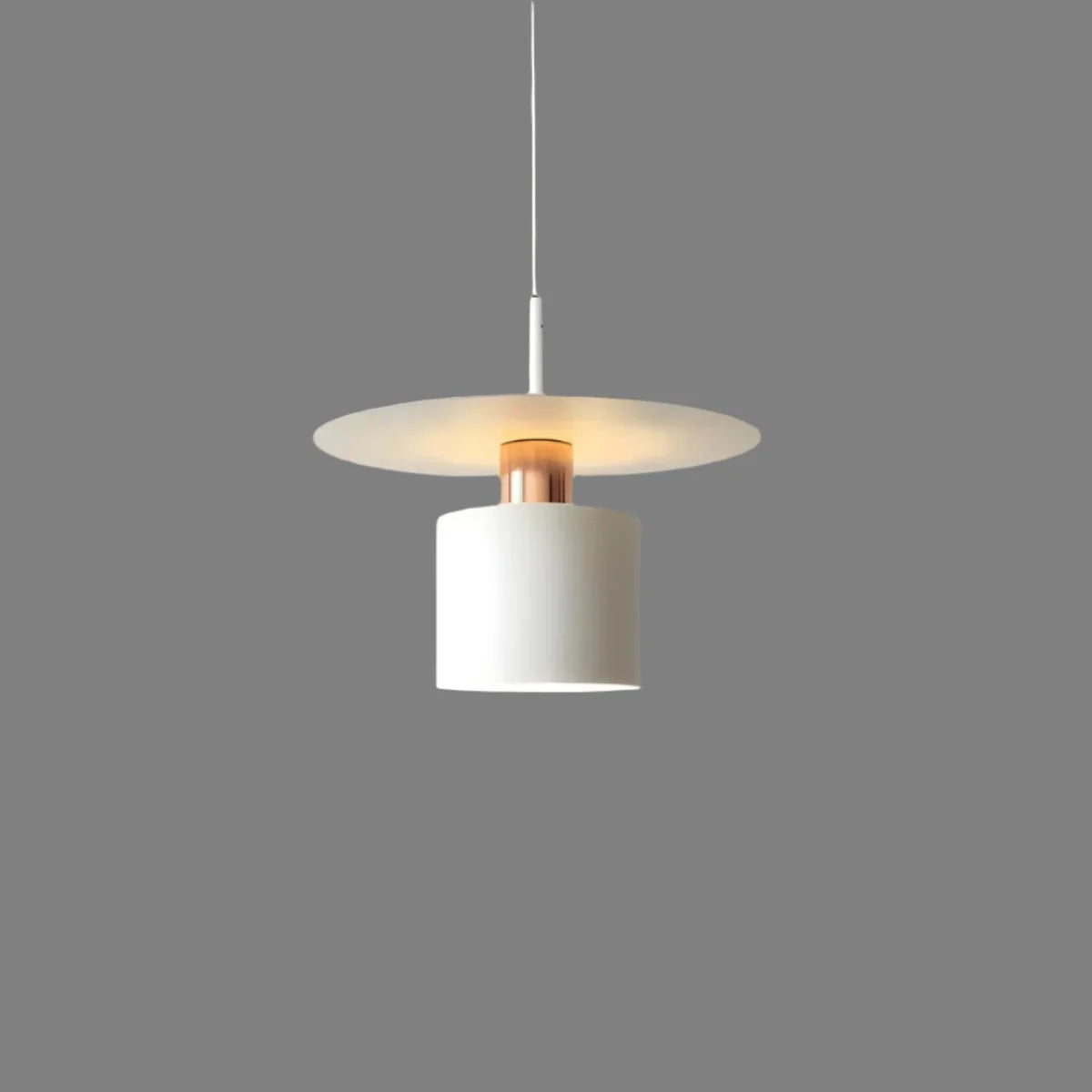 Pendant Light Integrated LED & Adjustable Cord Drop Two Sizes