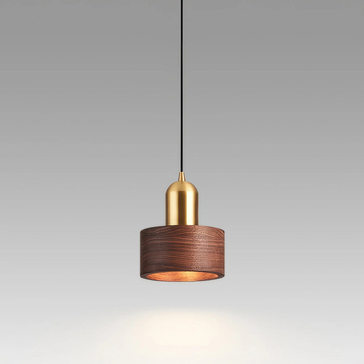 Pendant Light Walnut & Brass Focused Beam Adjustable Drop