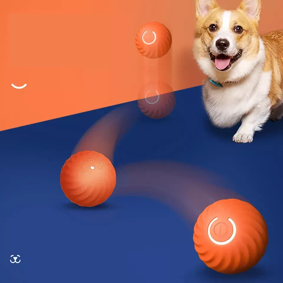 Pet Ball Self-Rolling USB or Battery Powered