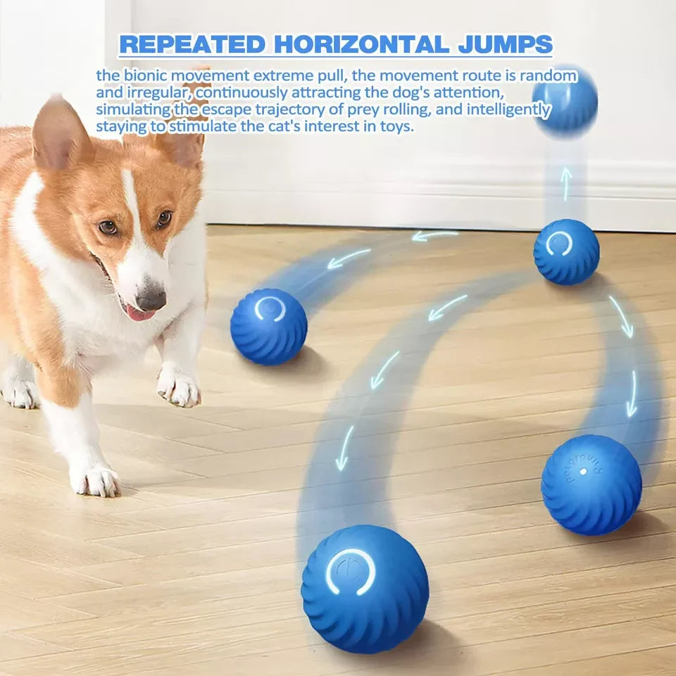 Pet Ball Self-Rolling USB or Battery Powered