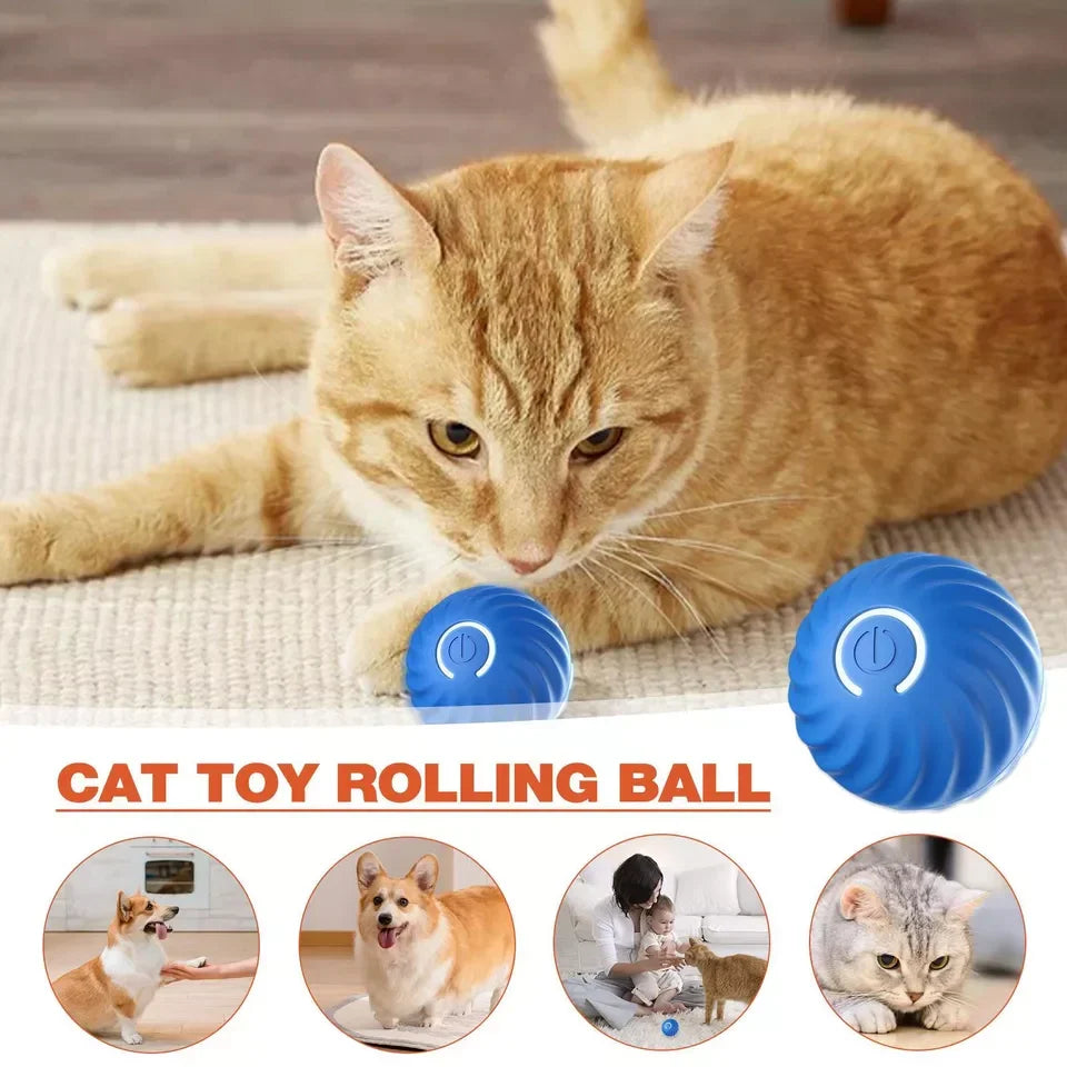 Pet Ball Self-Rolling USB or Battery Powered