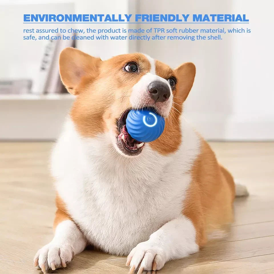 Pet Ball Self-Rolling USB or Battery Powered