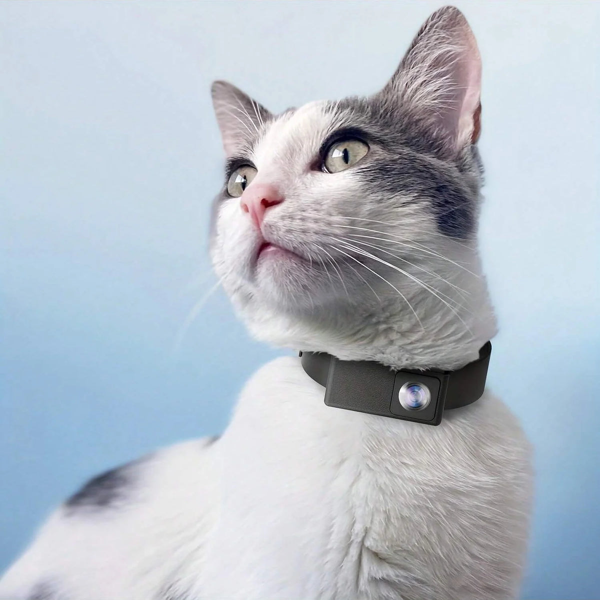 Pet Camera 1080P 160° Wide-Angle Collar-Mounted