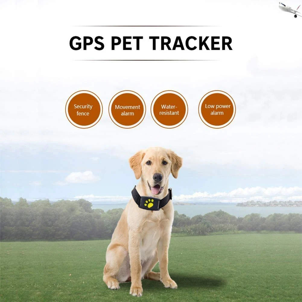 Pet GPS Collar Real-Time GPS & Geofence Alerts