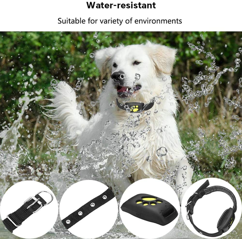 Pet GPS Collar Real-Time GPS & Geofence Alerts