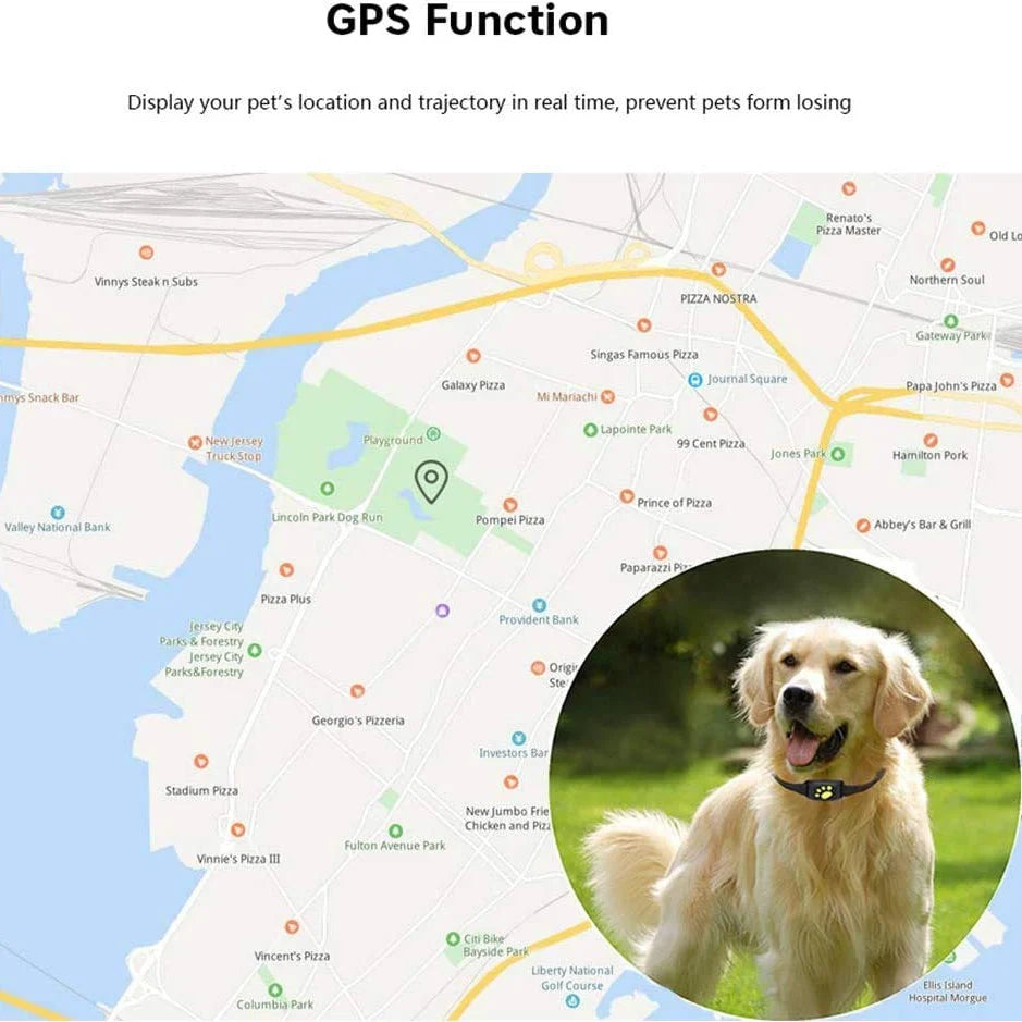 Pet GPS Collar Real-Time GPS & Geofence Alerts