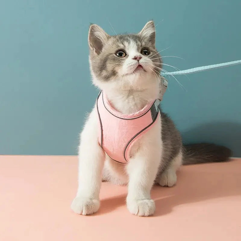 Pet Harness and Leash Reflective Suede Secure Buckle