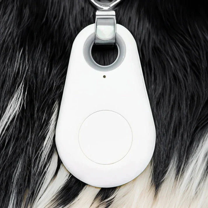Pet Tracker Bluetooth Real-Time Location & Proximity Alerts
